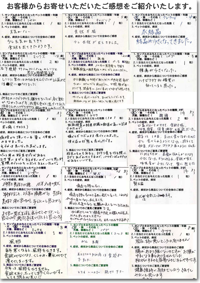 ペット用ハナビラタケ100%タブレットサンプルをお試しいただいたご感想