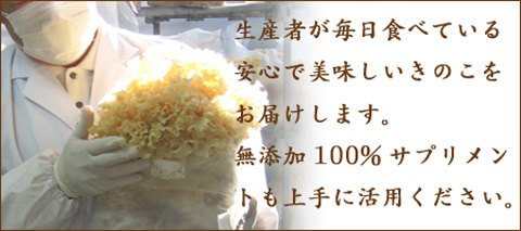 生産者が毎日食べている確かな品質のきのこ商品をお届けします。