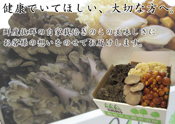 鮮度抜群のきのこの美味しさを心をこめてお届けします。